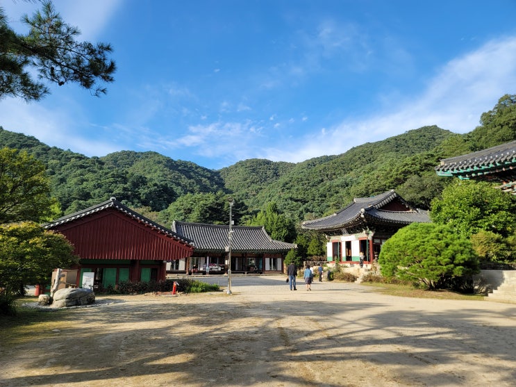  [홍천 절] 공작산 수타사 갔다 오기!