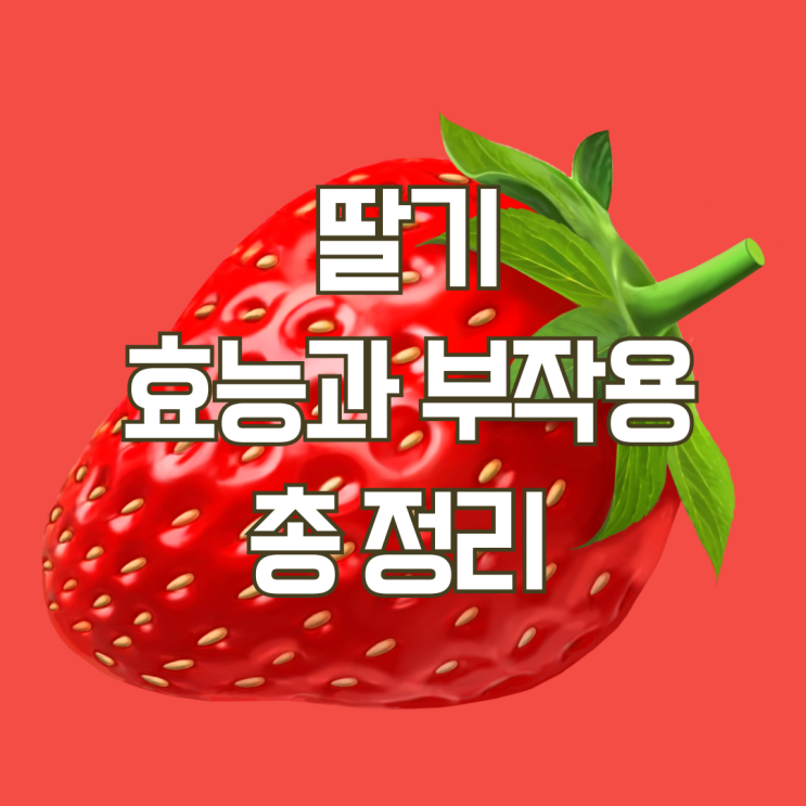 딸기 효능과 부작용 총 정리