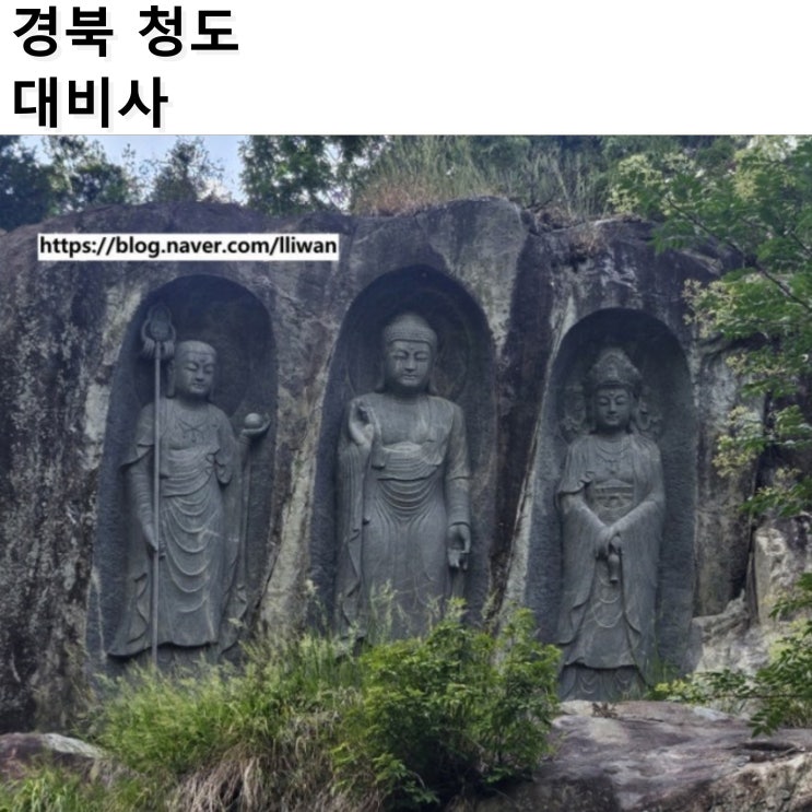  [경북/청도] 부모님 모시고 다녀오기 좋은 대구 근교 사찰, 대비사