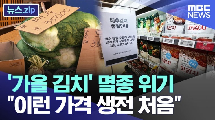 '가을 김치' 멸종 위기 "이런 가격 생전 처음" '가을 김치' 멸종 위기 "이런 가격 생전 처음"