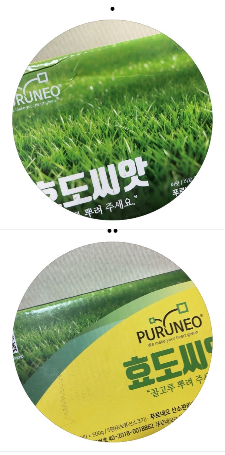  벌초, 효도 씨앗으로 해결하는 방법!
