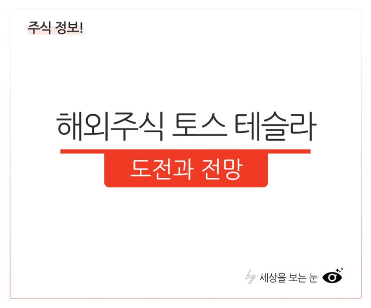  해외주식 토스 테슬라 도전과 전망