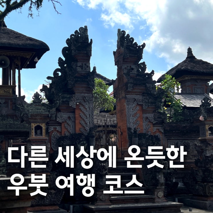  발리 우붓 1박2일 여행 후기  가성비 숙소 l 맛집 추천ㅣ우붓시장ㅣ발리 밸리 응급실