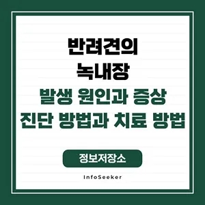  반려견 녹내장의 발생 원인과 영향, 진단 방법과 관리 방법