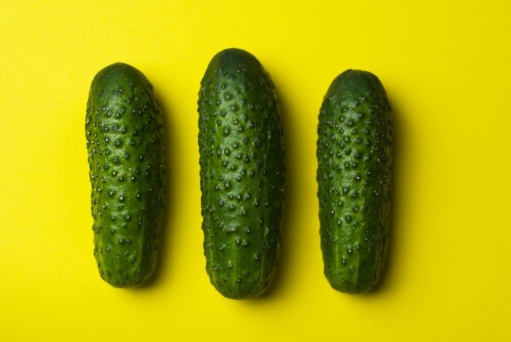  [입트영] 24.10.4.(금) ugly PrOduce (못난이 농산물)