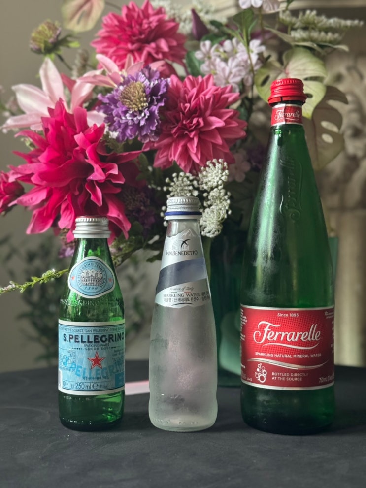 이탈리아 탄산수 산펠레그리노 산베네데토 TDS 비교 시음기 이탈리아 탄산수 산펠레그리노 산베네데토 TDS 비교 시음기