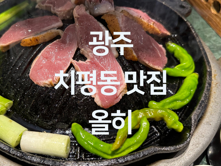  광주 치평동 맛집 - 상무지구 삼겹살맛집 상무지구 오리고기 맛집 상무지구 회식 맛집 "올히 광주상무점"