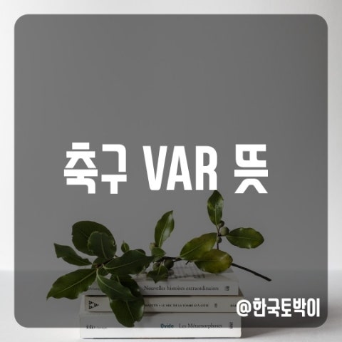  축구 비디오판독 VAR 뜻 약어
