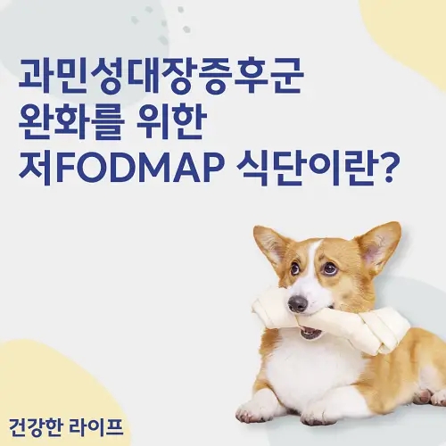  과민성대장증후군 완화를 위한 저FODMAP 식단이란?