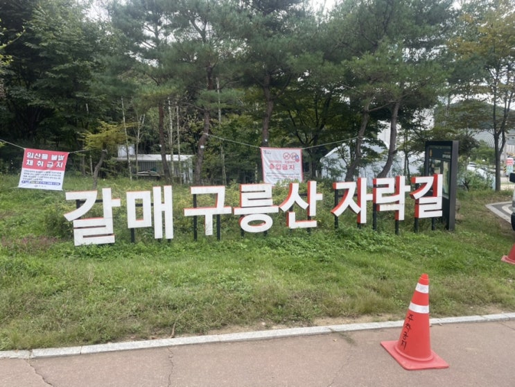  구리 갈매 구릉산자락길 산책과 밤줍기