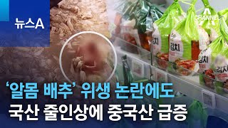  알몸배추란?