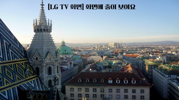  LG TV 화면 화면에 줄이 보여요