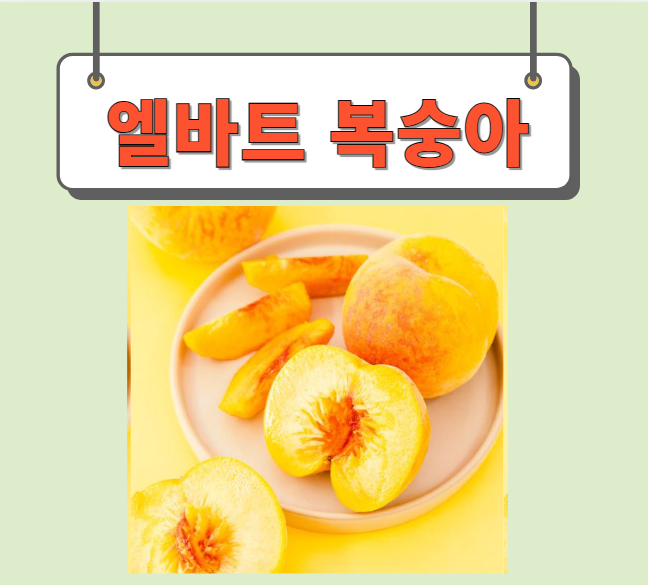 엘바트복숭아 완벽정리