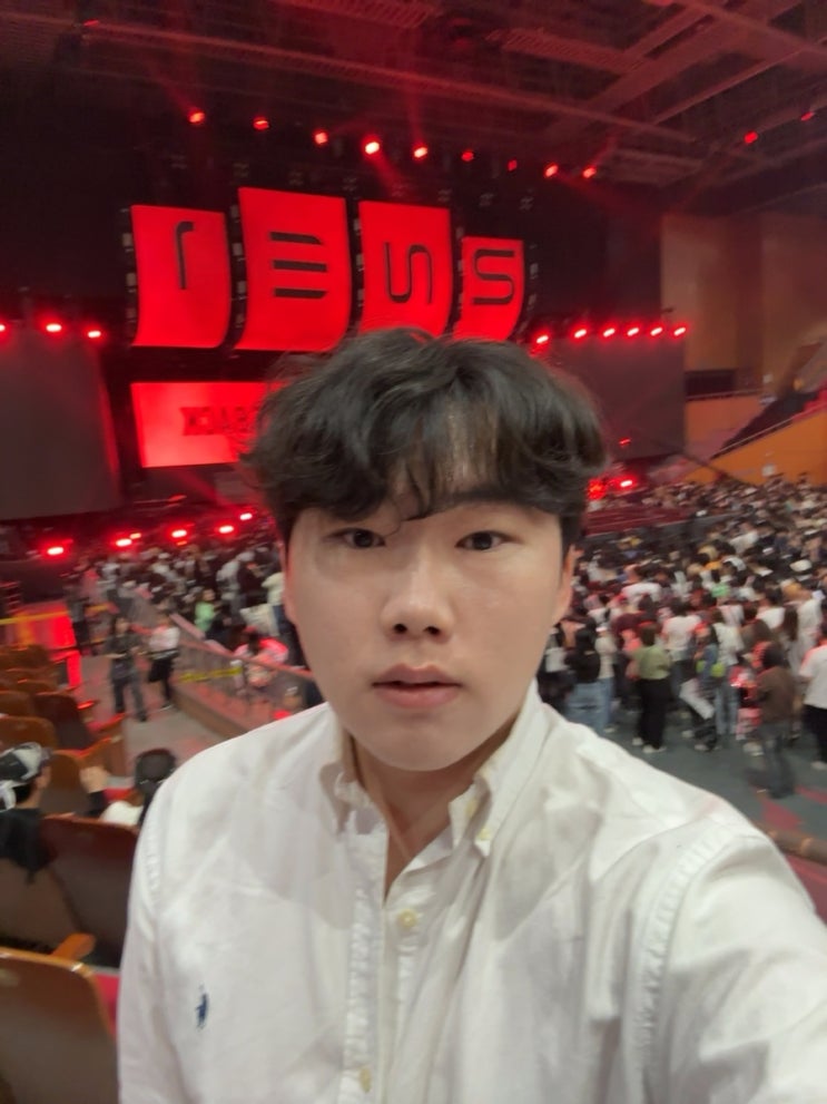  반도체 엔지니어 일기: 2NE1 콘서트 다녀옴.