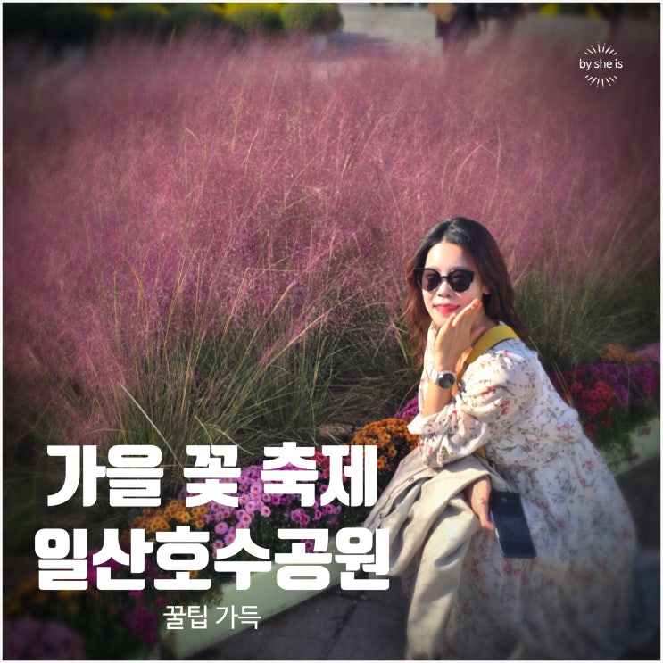  고양 가을꽃축제 주차 꿀팁 10월 가볼만한곳 일산 호수공원
