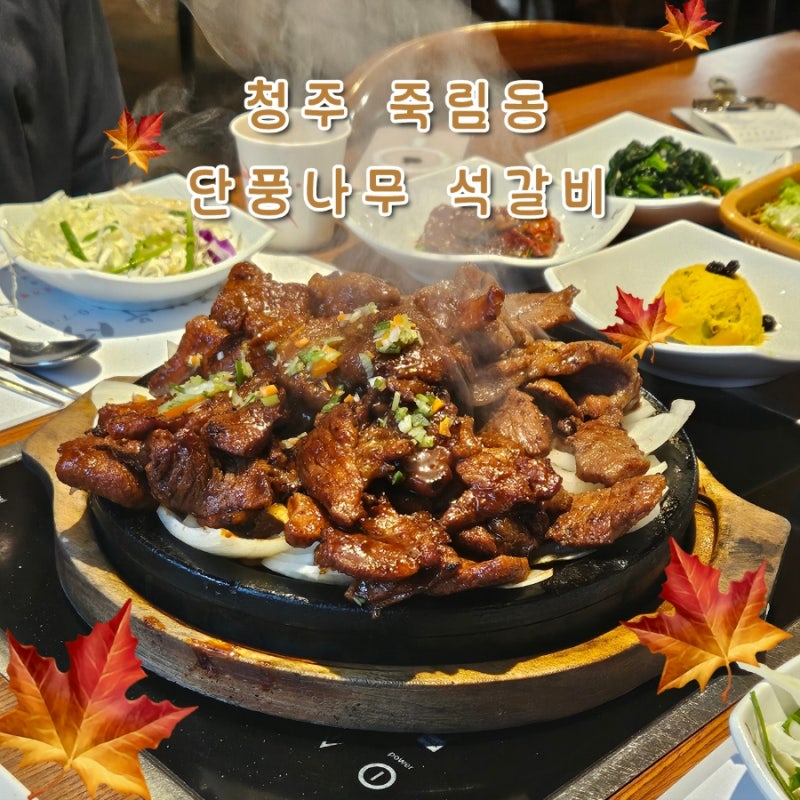 [청주] 가족/친구 ... 모임 하기 좋은 석갈비 맛집 단풍나무
