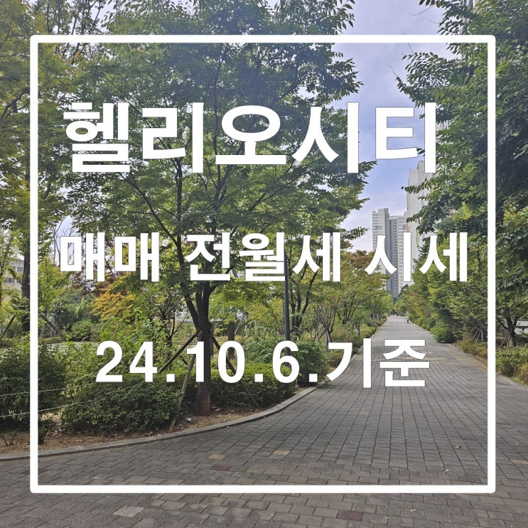  가을이 한창인 헬리오시티 24년 10월 7일 기준 매매 전월세 시세