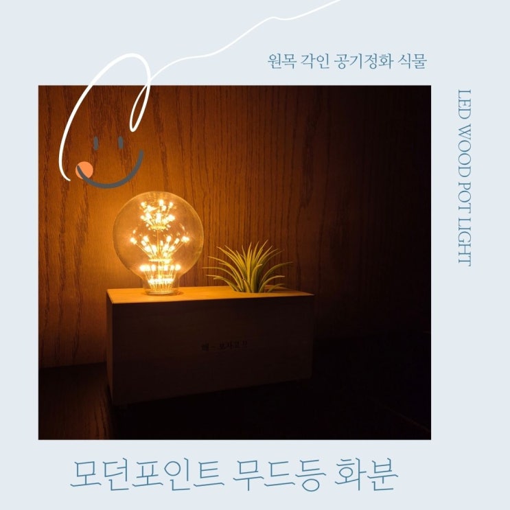  집을 더 화사하게 만드는 LED 식물테라피 원목 무드등 화분