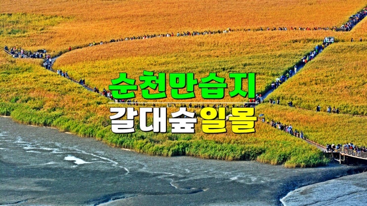 10월 11월 가을여행 명소 · 전남 순천만습지 갈대숲 용산전망대 일몰 시간 정리 10월 11월 가을여행 명소 · 전남 순천만습지 갈대숲 용산전망대 일몰 시간 정리