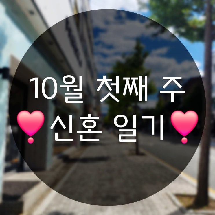  10월 첫째 주의 보람찬 일상기록(10월공휴일 대청소)