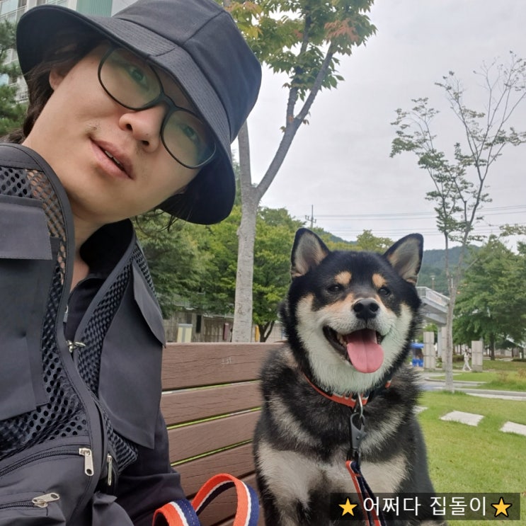  강아지 산책시키기 좋은 구미공원 인동 먹자골목인근 구평동 별빛공원 추천해요