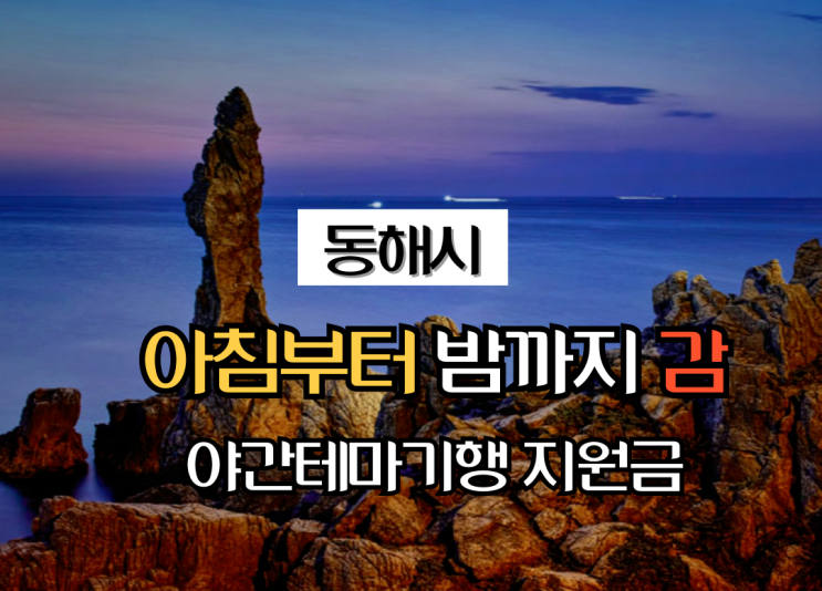  강원 동해_ 「아침부터 밤까지 감, 동해」_2024_여행지원