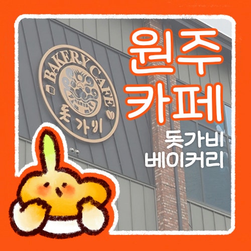  돗가비 베이커리  원주 태장동 카페