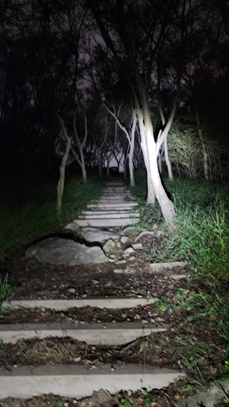  부산 승학산 백패킹