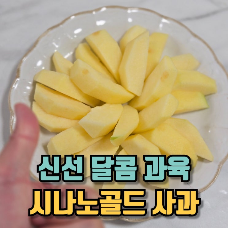  시나노골드 사과 신선하고 달콤한 과육