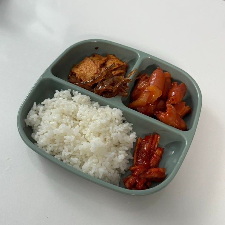  자취생 집밥 일기 식비 아끼는 요즘 일상