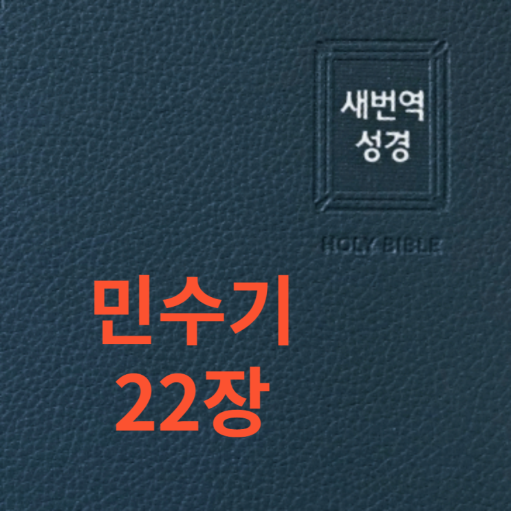 민수기 22장 민수기 22장