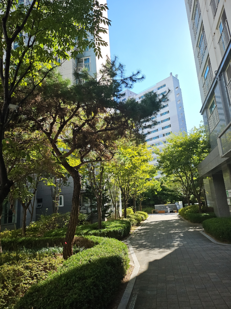  갈매2단지 목돈없이 공공임대 청약 당첨되서 내집마련을 해보아요