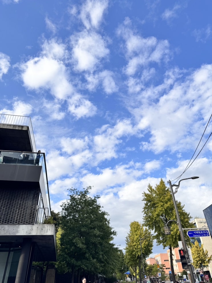  이번주 일상