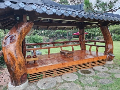 사진 9