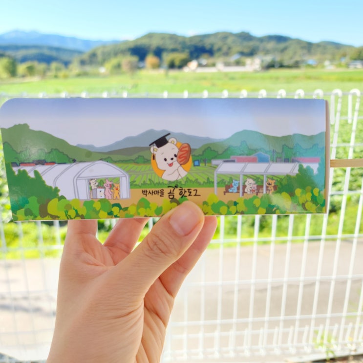 춘천::박사마을 곰핫도그/강원도는 감자만 유명한게 아니야!/곰취팍치쿵쿵치박치예