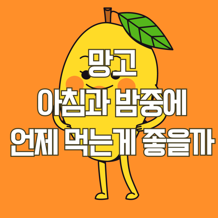  망고 적정 섭취량과 아침 밤 언제 섭취하는 것이 좋을까