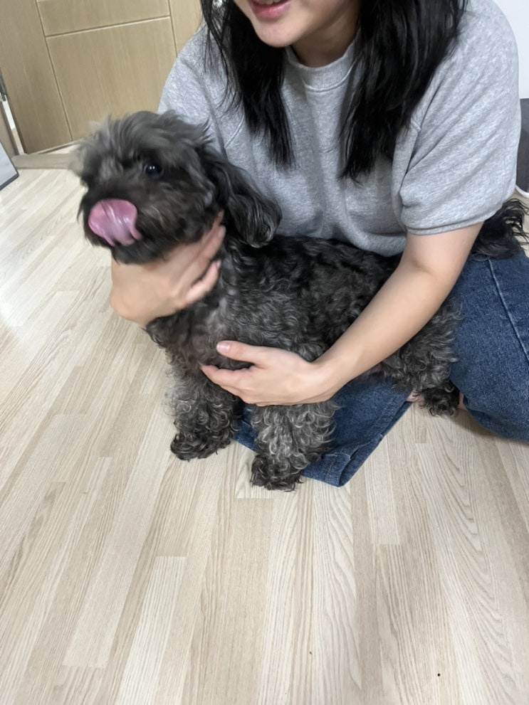  스티커 받을라고 올려보는 짧은 일상
