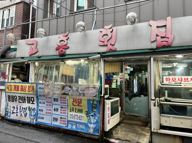 광주 고흥 횟집/고흥 회수산 전어회 추천 후기, 득량만 인근 회 맛집