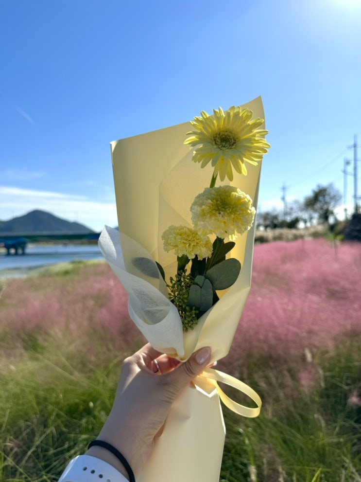  10월 1주차_ 냐암의 일상 몰아보기