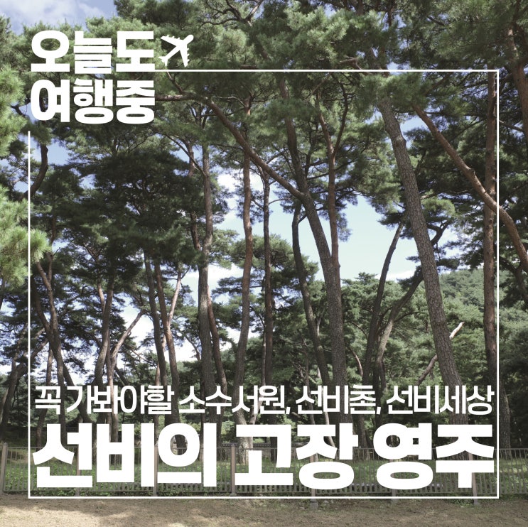  [경북 영주 가볼만한 곳] 선비의 정신을 느낄 수 있는 소수서원, 선비촌, 선비세상 (ft.포토스팟 추천)