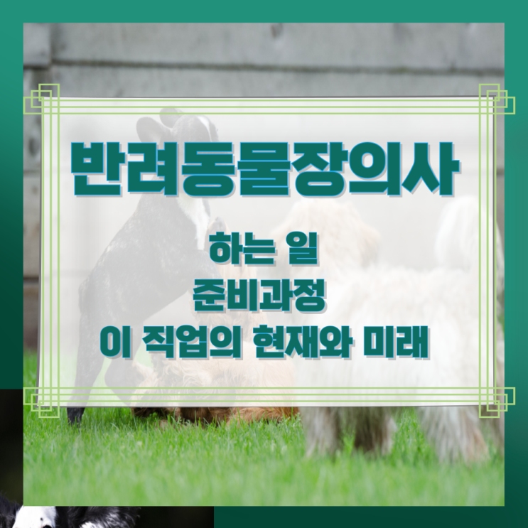 반려동물장의사가 하는 일 준비과정 및 이 직업의 현재와 미래 반려동물장의사가 하는 일 준비과정 및 이 직업의 현재와 미래