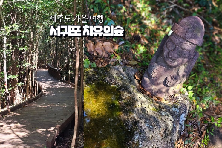  가을 여행지 추천 제주 서귀포 치유의숲 국내 힐링여행