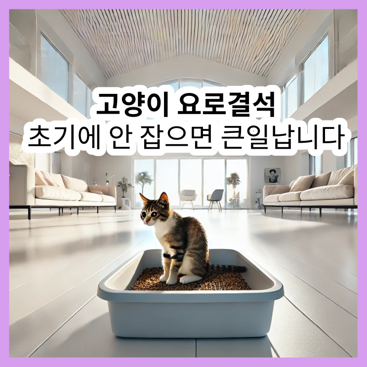  고양이 요로결석 증후군, 초기가 중요합니다