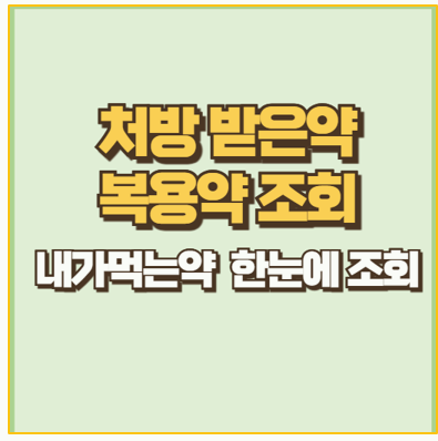 내가 먹는약 한눈에 조회 및 확인 하는 방법 I 처방 받은약 복용약 까지
