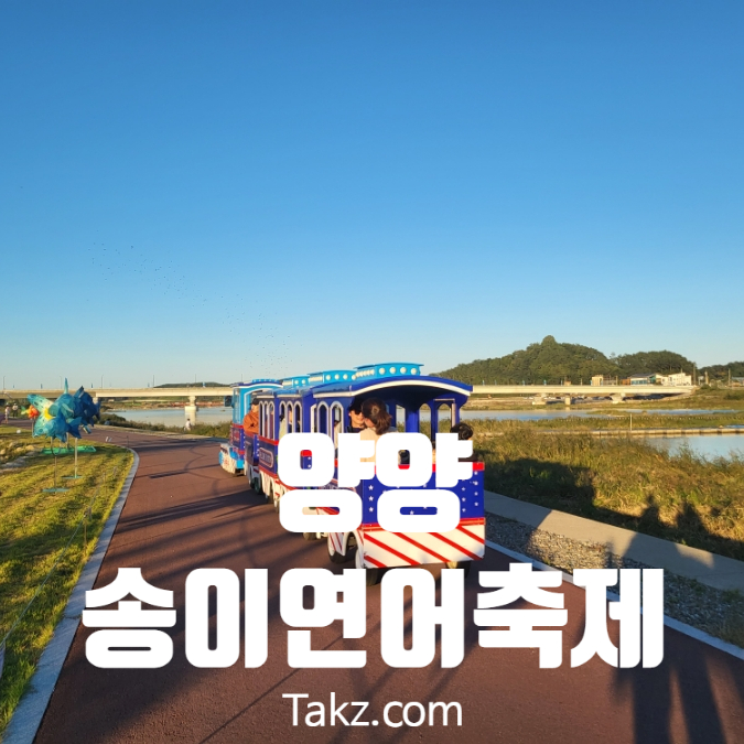  양양 송이 연어 축제 정보와 후기