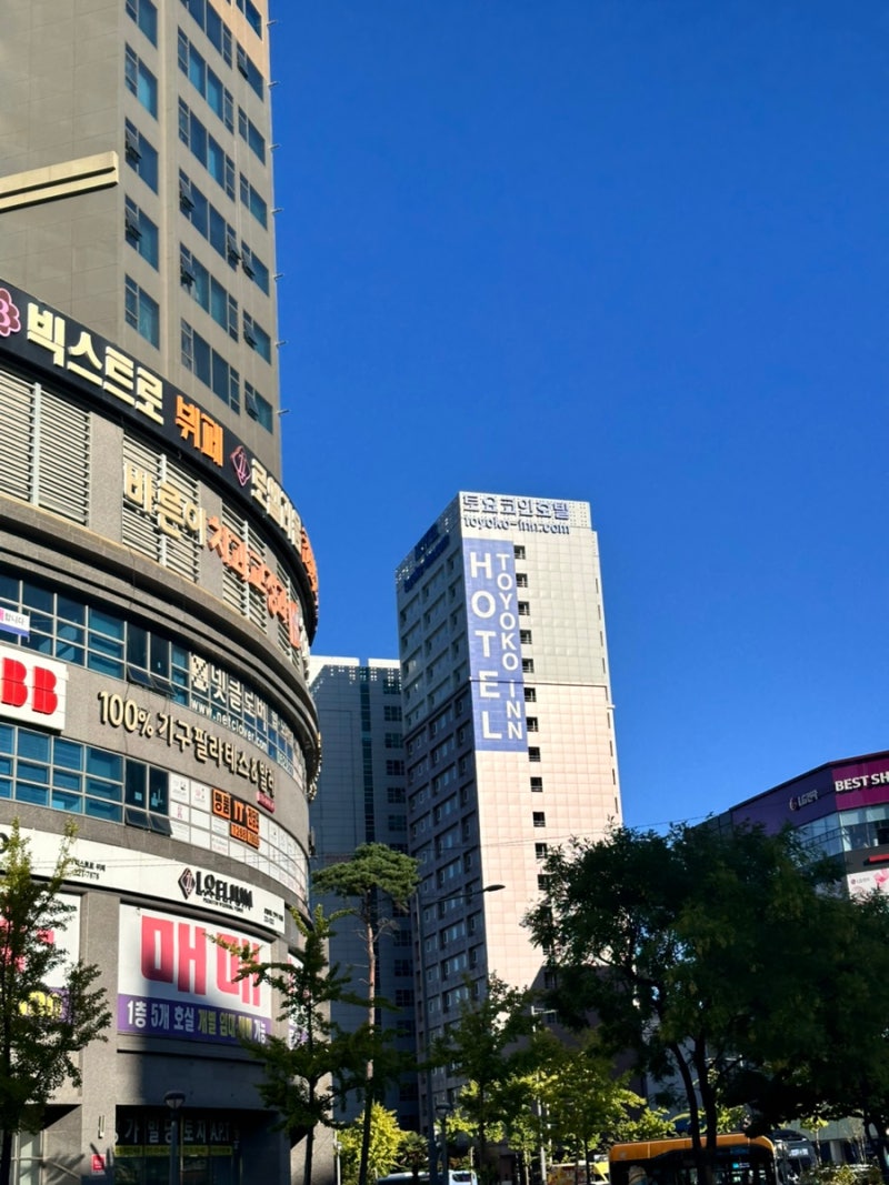 울산 남구 나홀로 식도락여행 내돈내산 로컬맛집 추천 / 토요코인 울산삼산점, 태화강 : 네이버 블로그