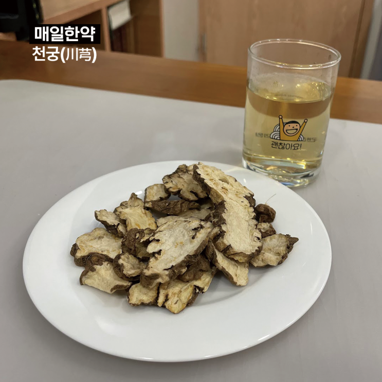 매일한약 : 천궁(川芎) 활발한 성격의 어혈치료약 매일한약 : 천궁(川芎) 활발한 성격의 어혈치료약