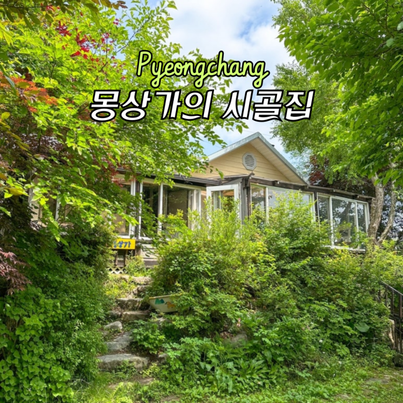 사진 2