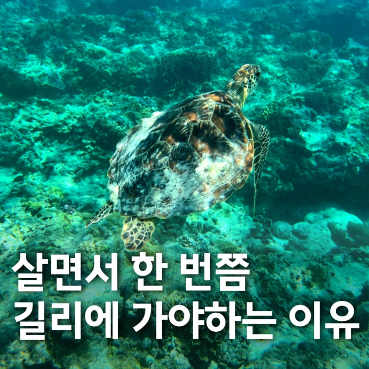  살면서 한번쯤은, 길리 여행 꼭 가야 하는 이유!!