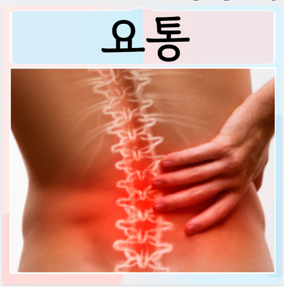  요통 원인 허리아플때 증상 완화 잘못된자세